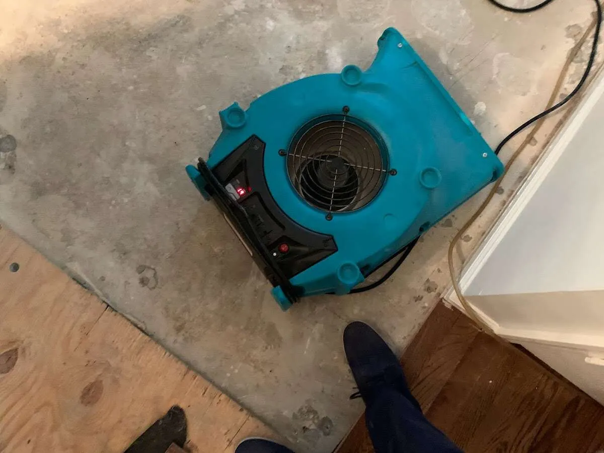 Air mover drying subfloor during Leak Detection & Repair in Denham Springs